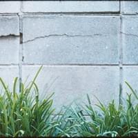 "Entering in and out the picture." 2022