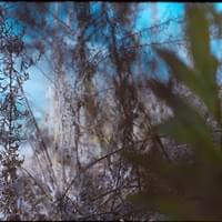 "Entering in and out the picture." 2022