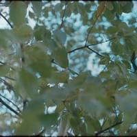 "Entering in and out the picture." 2022