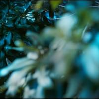 "Entering in and out the picture." 2022