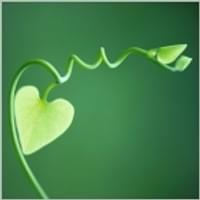 Dinner in San Francisco