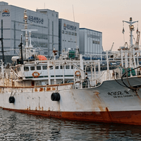 CHANG JIN 302