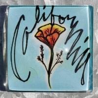 California Poppy Glass Magnet