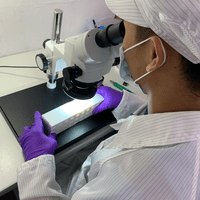 Microscope examining 