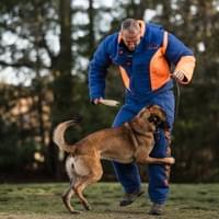 Protection Training
