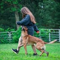 Focused Heeling