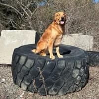 Off Leash Place