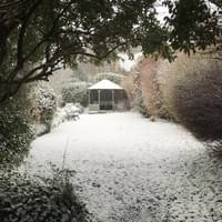 Snow in The Elmfield Garden