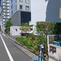 法人　植栽　after