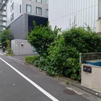 法人　植栽　before