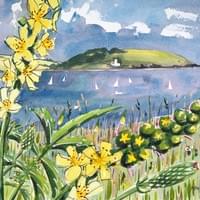 Agrimony and Falmouth Bay