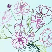 Ranunculus