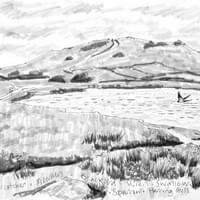 Swallows over Great Pool