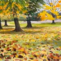 Limes and Black Walnut