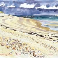 Jo collecting shells