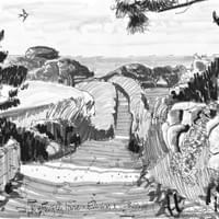 Butterfly Lane, Evening