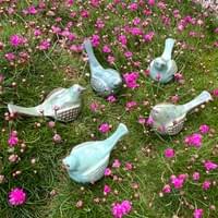 Flock of Large Birds  