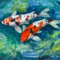 Tom’s Koi Pond