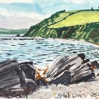 Prisk Cove