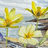 Celandine and primrose