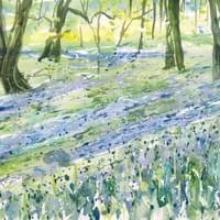 Meudon Bluebells