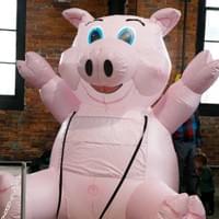 Credit: Emanuel Wallace