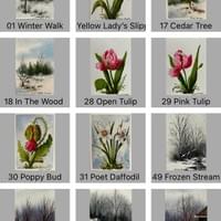 Original Watercolor Card
