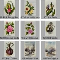 Original Watercolor Cards 