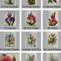 Original Watercolor Cards