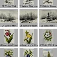 Original Watercolor Cards