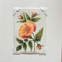 The Watercolor Card