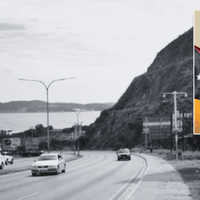 Poreporena Vertical | 4x8m