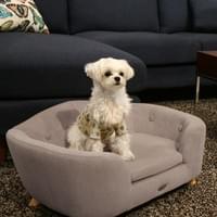 安心感をもたらす囲いのあるデザイン ペットのためのソファ グ