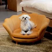 花びらのようなお洒落な背もたれ ペットのためのソファ イエロ