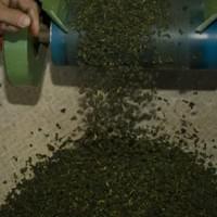 篩分優選，去蕪存菁再精製