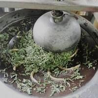 揉捻，讓茶香隨熱水沖泡迅速展開