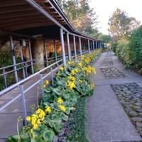 Makino Botanical Garden