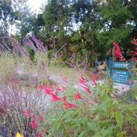 Makino Botanical Garden