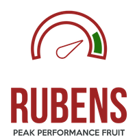 Rubens Technologies