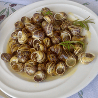 Local snail dish with rosemary