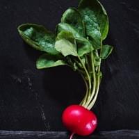 Scarlet Globe Radish