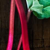 Rhubarb Stalks Close Up