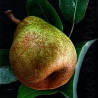 Williams Pear