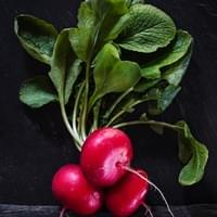 Scarlet Globe Radishes