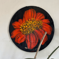 tithonia circle