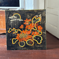 tithonia bouquet orange 24 x 2