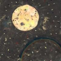MoonGlow
