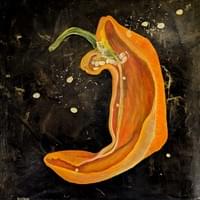 pepper 36 x 36