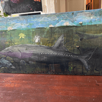sturgeon c 36 x 72