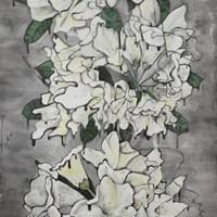 Rhodadendrons 24 x 48